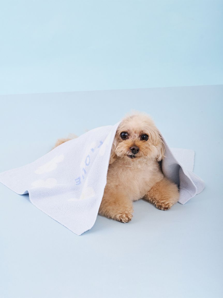 CAT&DOG】スムーズィーフラワージャガードブランケット(グッズ