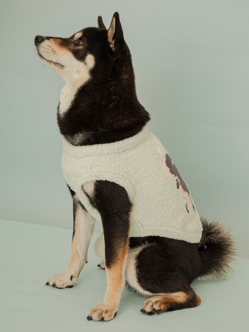 スムーズィー　柴犬　ジャガードプルオーバー＆　ロングパンツセット オフホワイト CAT&DOG】柴犬ジャガードプルオーバー(ウェア)｜ルームウェア