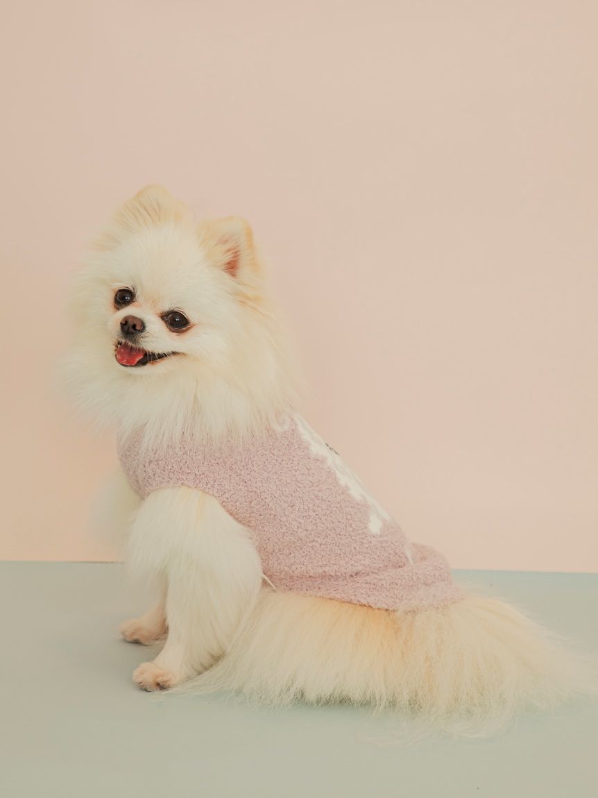 ジェラートピケパウダーDOGジャガードプルオーバーポメラニアングレー上下セット ジェラートピケ gelato pique 【CAT&DOG】ポメラニアジャガードプルー