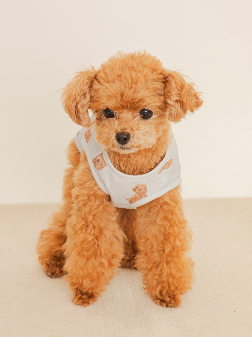 ジェラートピケ 23SS CAT&amp;DOG プルオーバー カットソー  長袖 F CAT&DOG】ドッグカットソープルオーバー（ペットウェア）｜gelato
