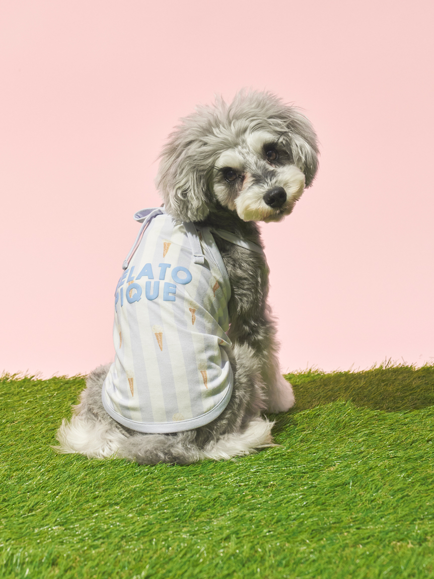 CAT&DOG】【接触冷感】 ストライプ柄Coolingプルオーバー(ウェア