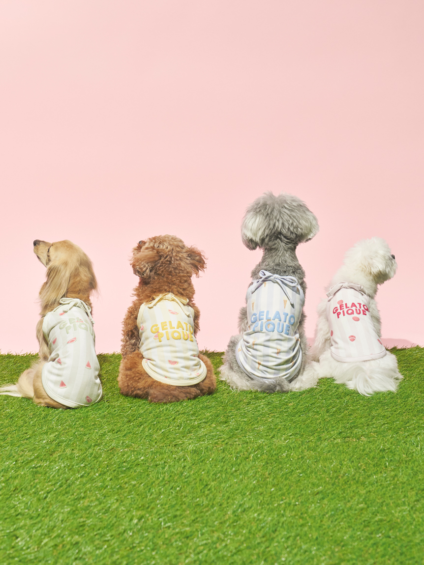 CAT&DOG】【接触冷感】ダックスフンドサイズCoolingプルオーバー