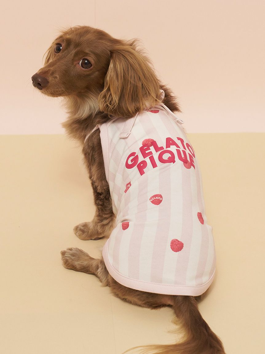 CAT&DOG】【接触冷感】ダックスフンドサイズCoolingプルオーバー