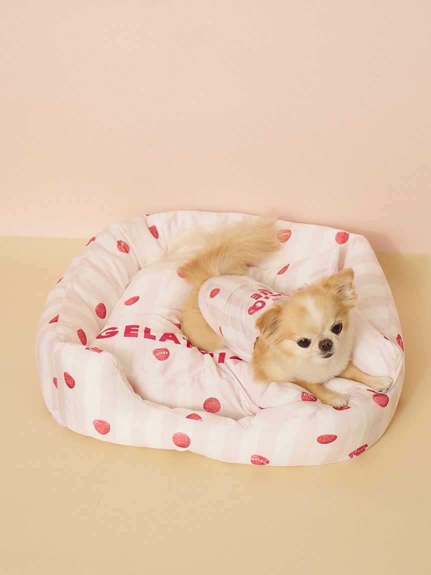 CAT&DOG】【接触冷感】 CoolingベッドS(ベッド・ハウス)｜ルームウェア