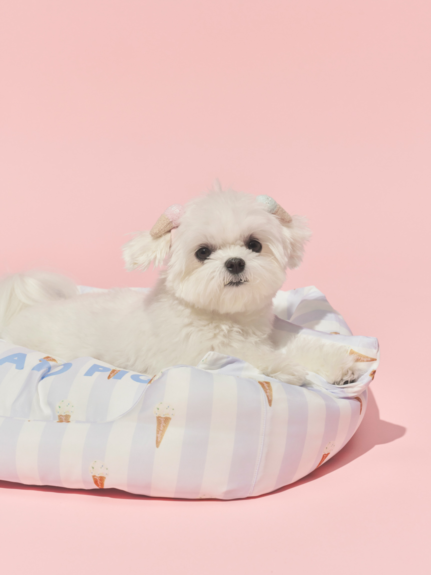 CAT&DOG】【接触冷感】 CoolingベッドS(ベッド・ハウス)｜ルームウェア