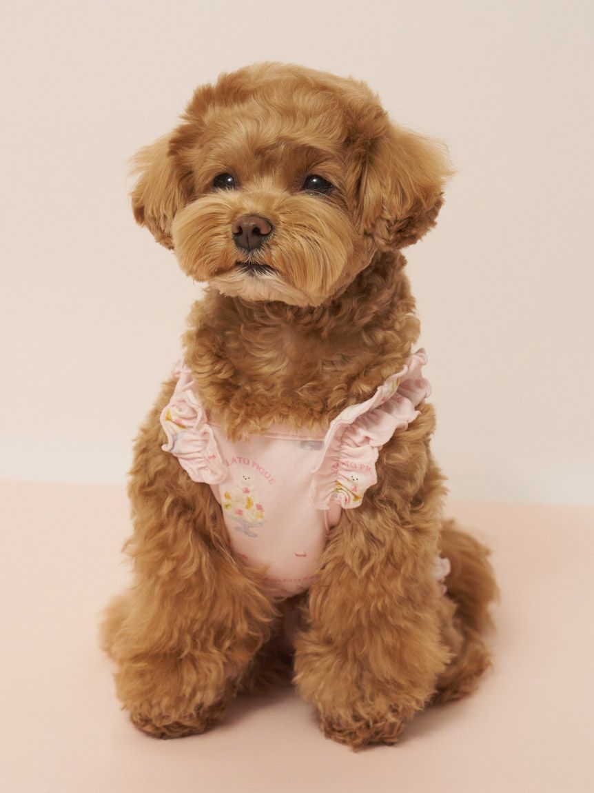 CAT&DOG】【接触冷感】シロクマひんやりスイーツ柄 Coolingフリルプル
