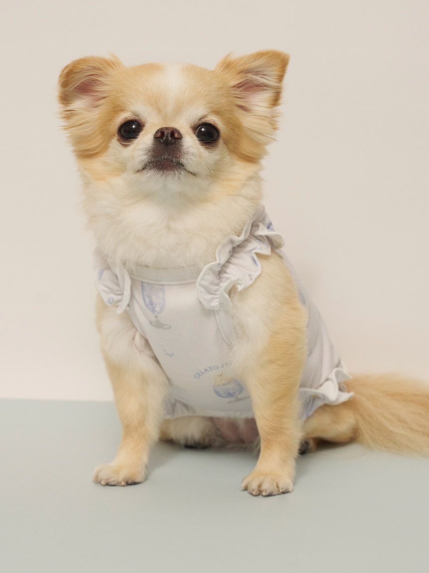CAT&DOG】【接触冷感】シロクマひんやりスイーツ柄 Coolingフリルプル