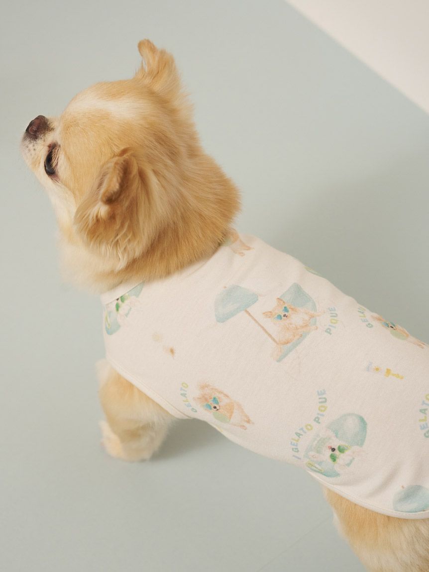CAT&DOG】【接触冷感】ビーチ マルチーズ ポメラニアン チワワ柄