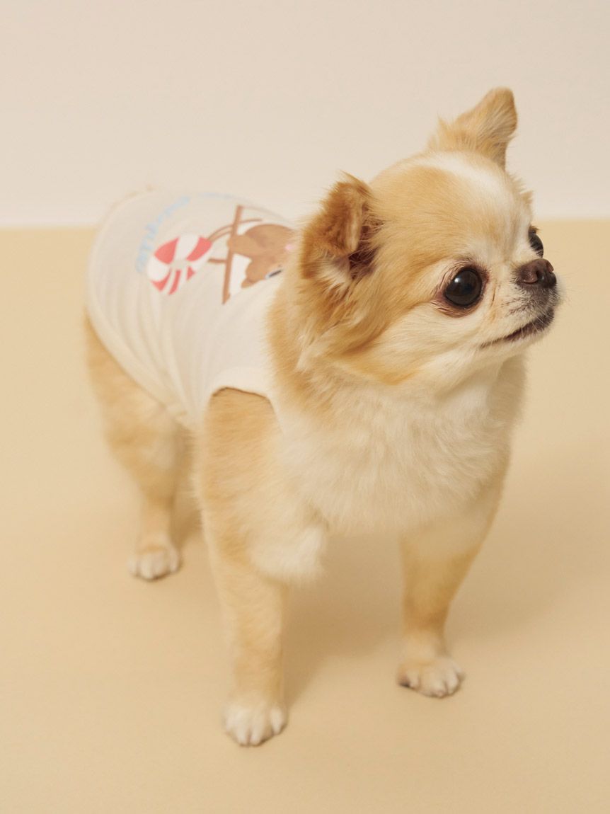 CAT&DOG】【接触冷感】サマーベア柄プルオーバー(ウェア)｜ルーム