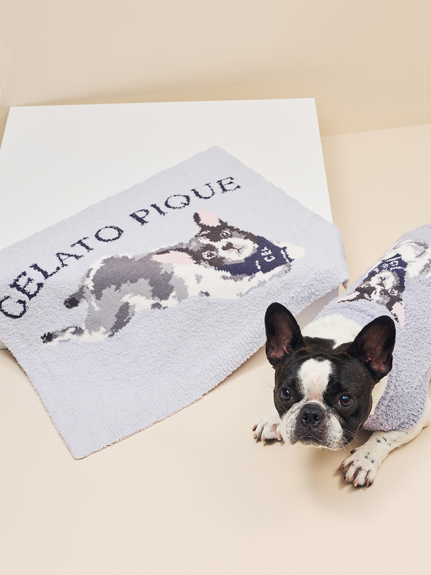 CAT&DOG】ベビモコフレンチブルドッグ柄ブランケット(グッズ)｜ルーム