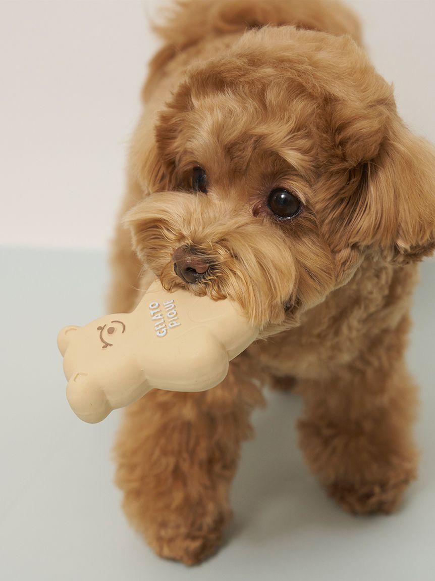 CAT&DOG】アイスクリーム&ベア ラテックストイセット BOX付き(グッズ