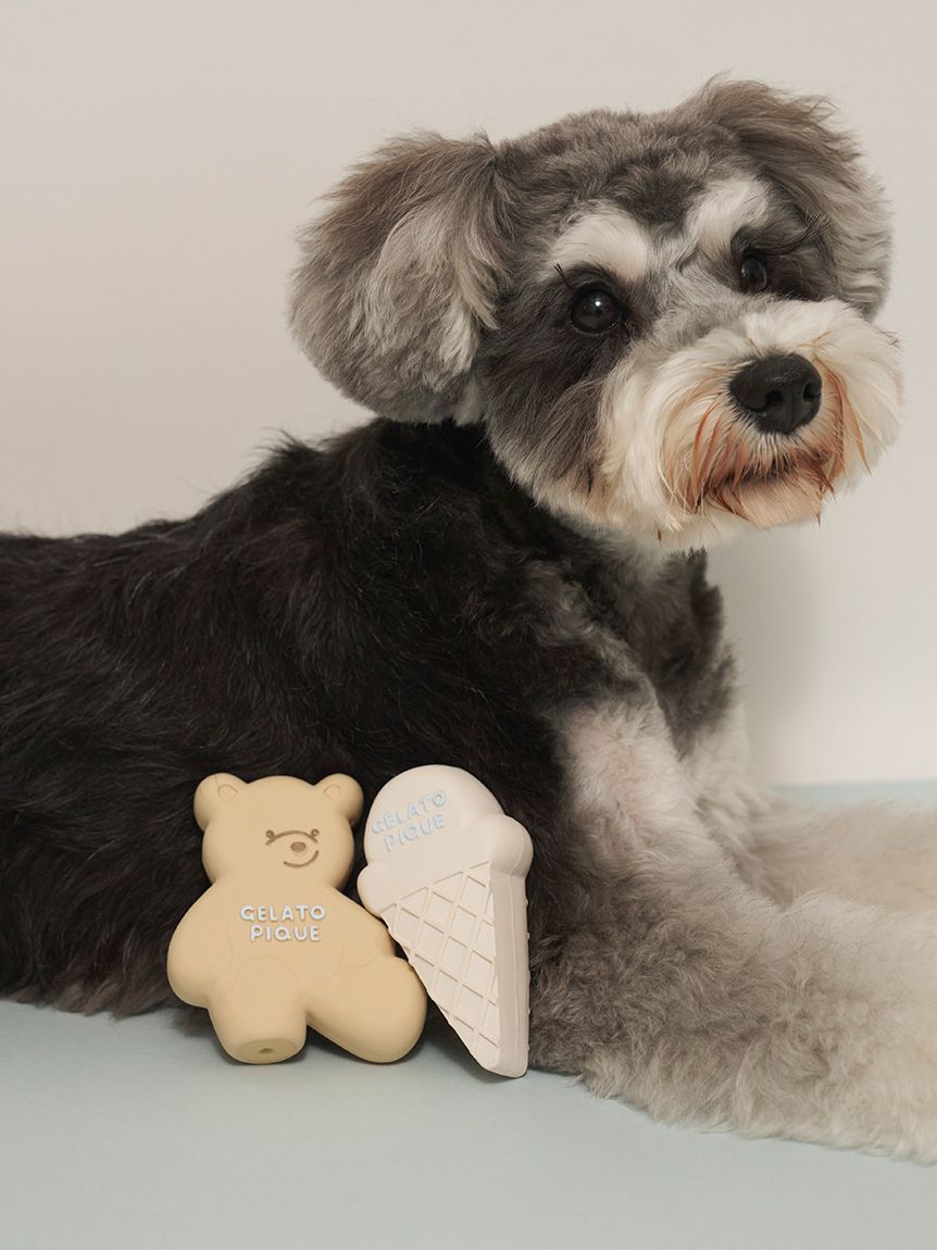 CAT&DOG】アイスクリーム&ベア ラテックストイセット BOX付き(グッズ