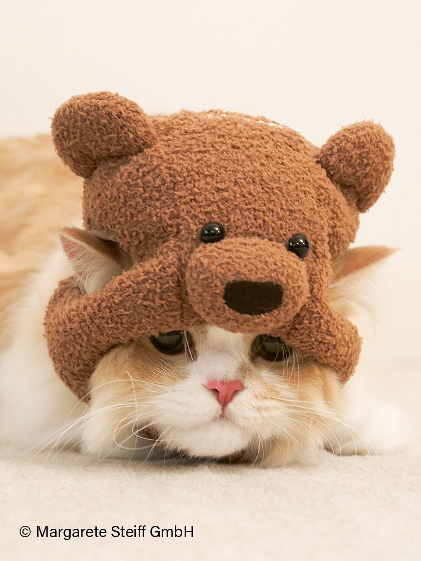 Steiff】【CAT&DOG】ニットキャップ(グッズ)｜ルームウェア・パジャマ