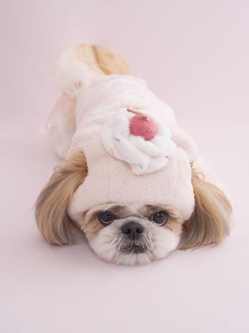 CAT&DOG】【Birthday】カップケーキハット(グッズ)｜ルーム