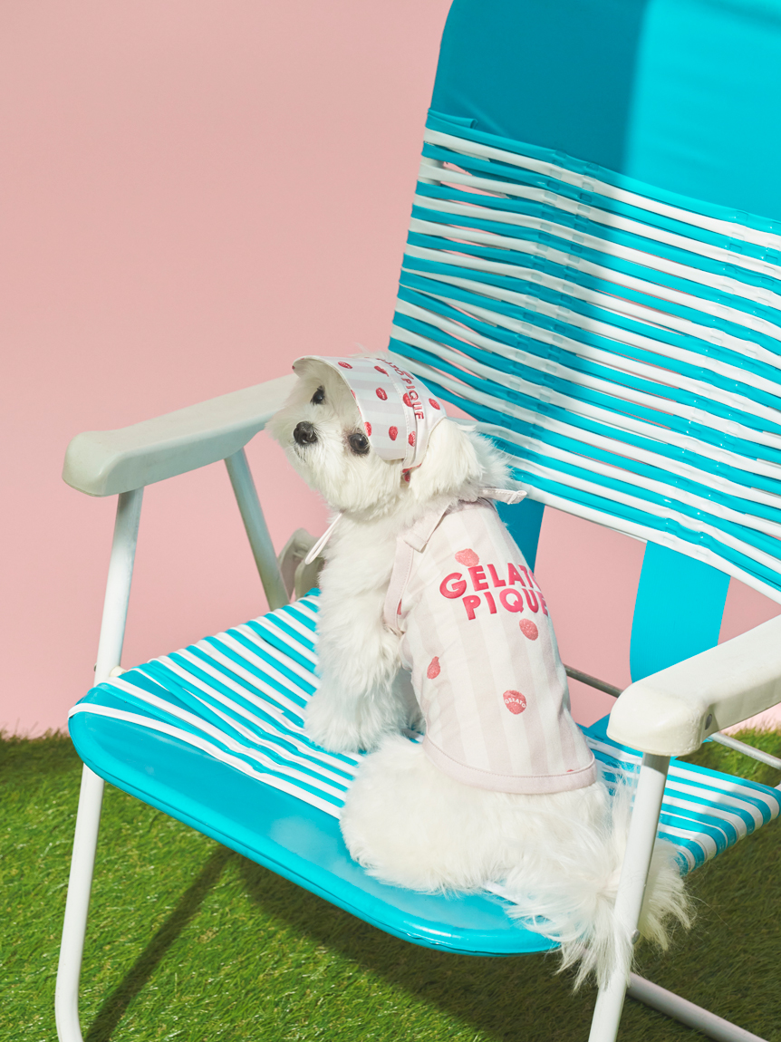 CAT&DOG】ソフトサンバイザー(グッズ)｜ルームウェア・パジャマ通販の