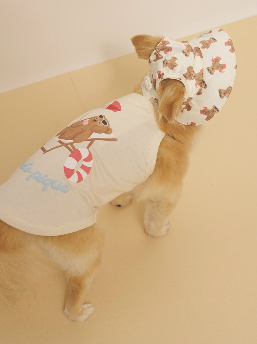 CAT&DOG】サマーベア柄ハット(グッズ)｜ルームウェア・パジャマ通販の