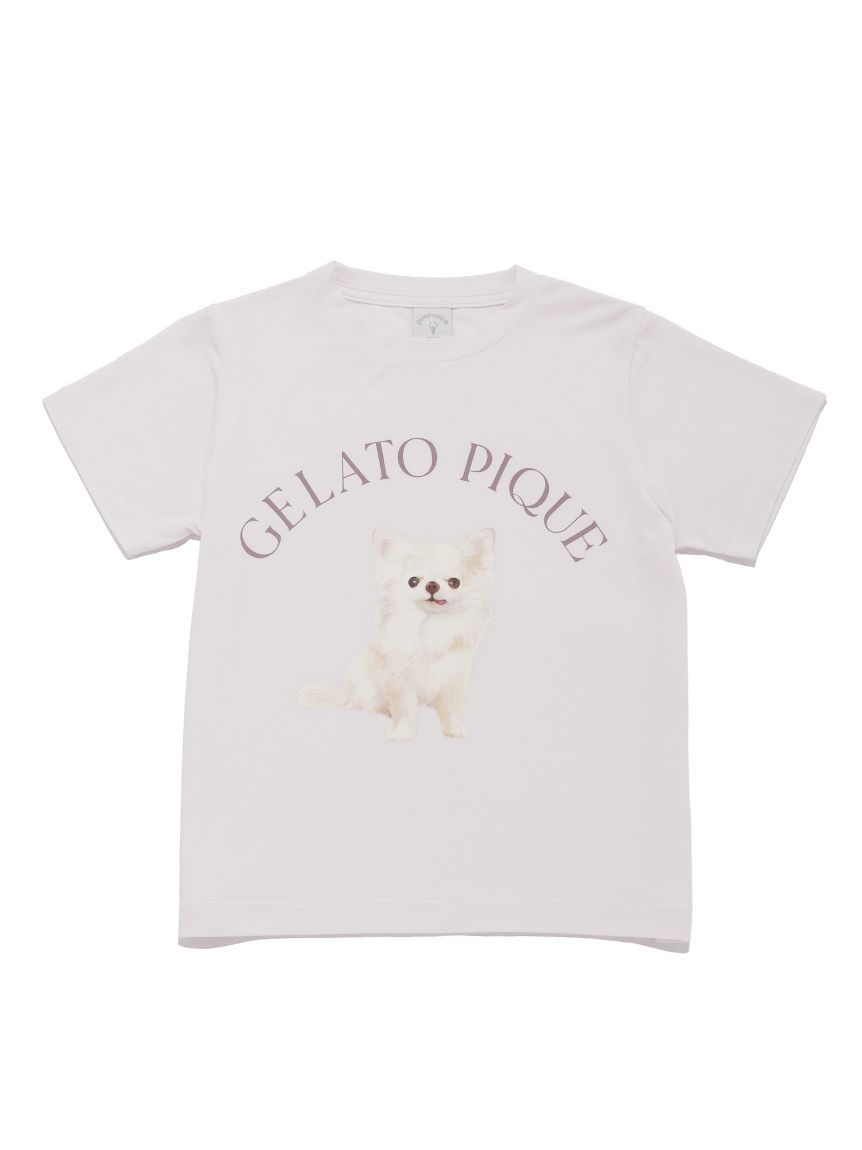 【JUNIOR】 DOG柄Tシャツ&ショートパンツセット | PJCT241421