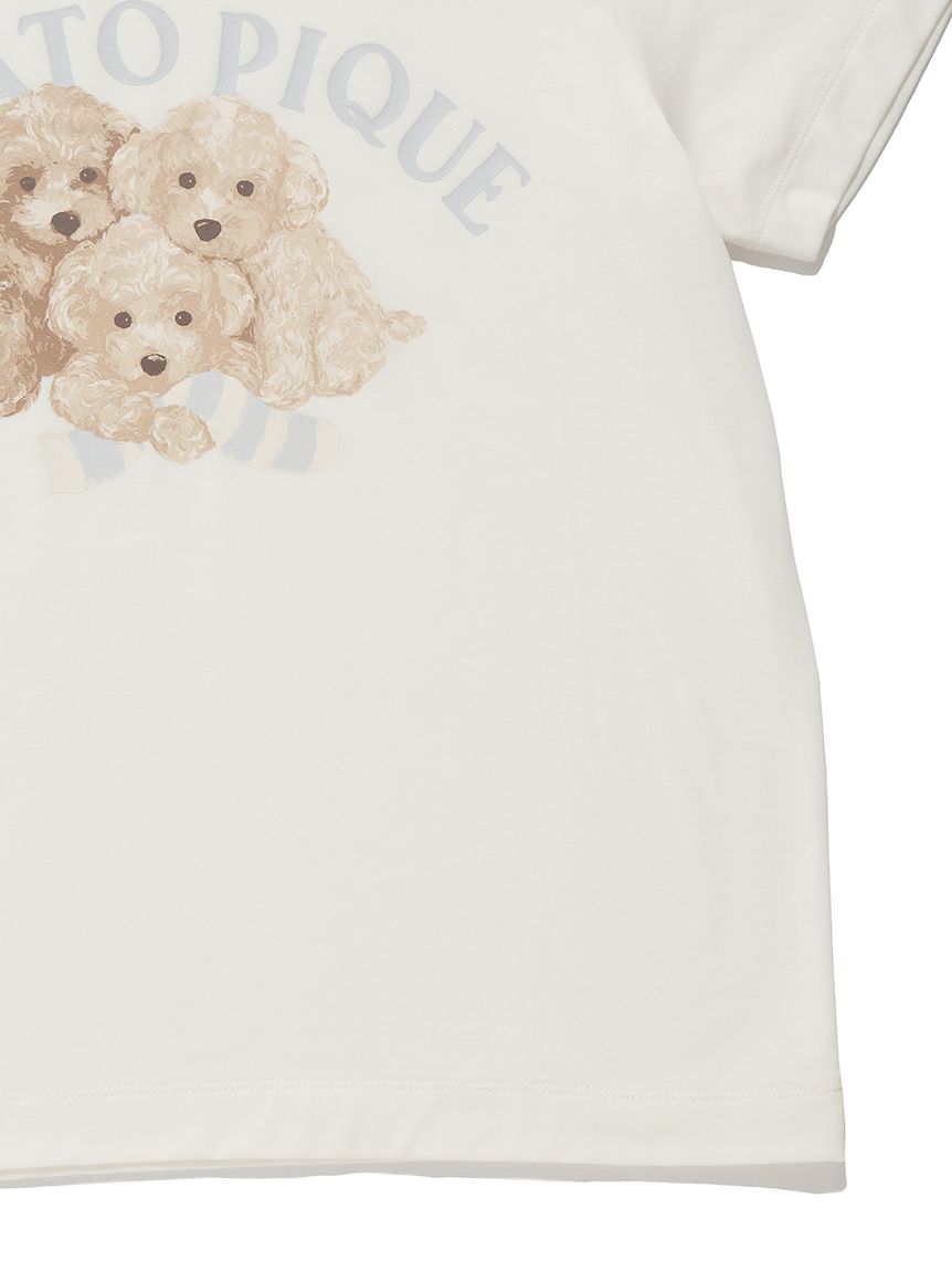 【JUNIOR】トイプードルワンポイントTシャツ＆総柄ショートパンツセット | PJCT251475