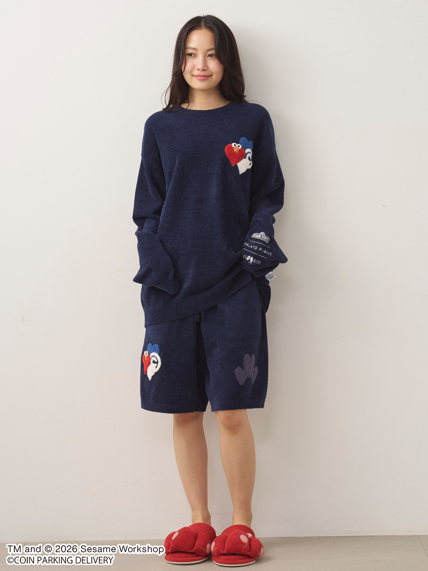 SESAMESTREET×CPDHOOME meets GELATOPIQUE】エアリーモコジャガード