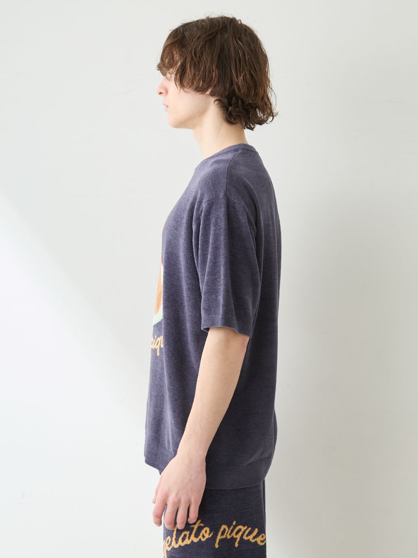 HOMME】 サマーベアジャガードプルオーバー(カットソー・Tシャツ