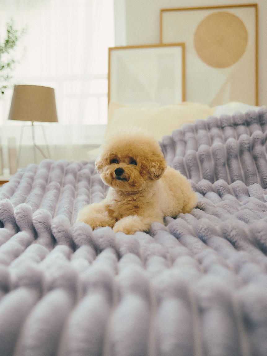 PARQUET ルームウェア 「からあげいぬ」L 検索結果]-amiami.jp