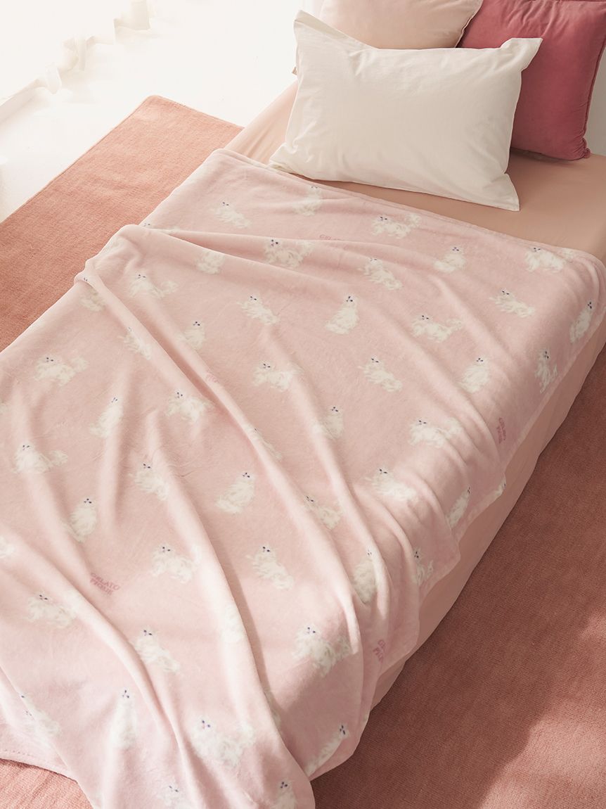 Sleep】【抗菌防臭】CAT柄コットン毛布(ブランケット・タオルケット