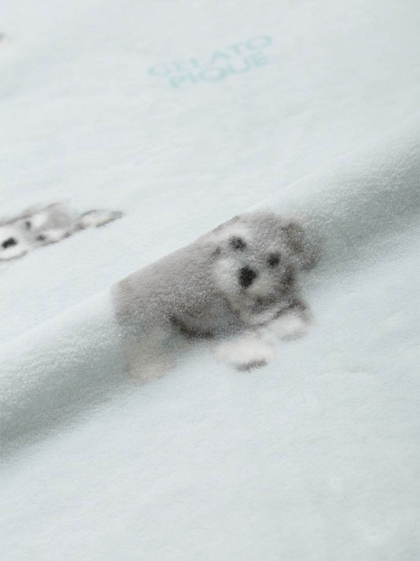 新品　ジェラートピケ　スリープ　DOG柄　ブランケット　毛布　マルチーズ Sleep】【抗菌防臭】DOG柄コットン毛布(ブランケット・タオルケット