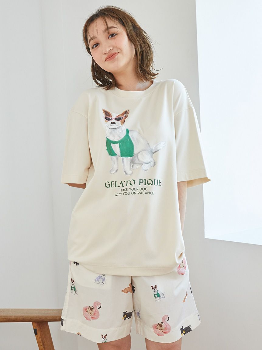 ジェラートピケ　コアラワンポイントTシャツ　半袖　トップス　プルオーバー ジェラートピケ コアラワンポイントTシャツ 半袖 トップス プル