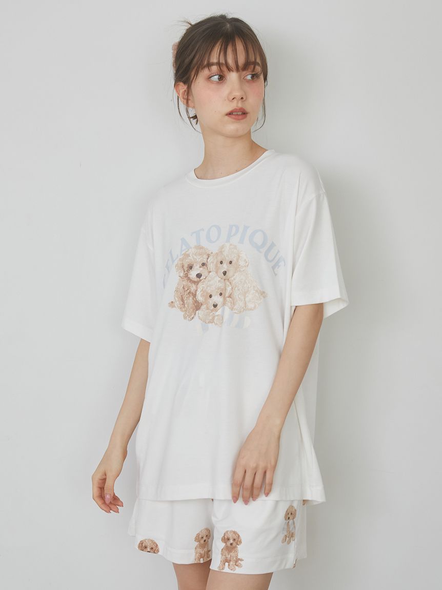 トイプードル柄ショートパンツ | PWCP251305