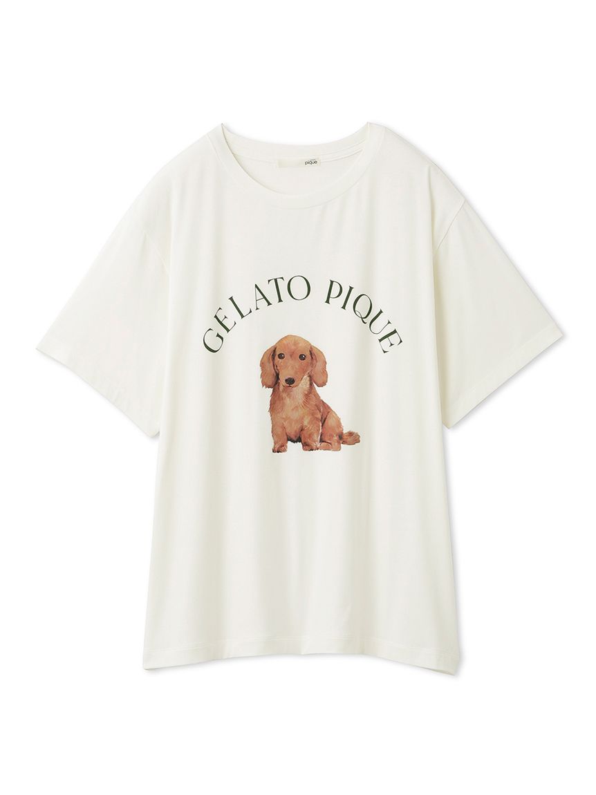 DOG柄ワンポイントTシャツ | PWCT241257
