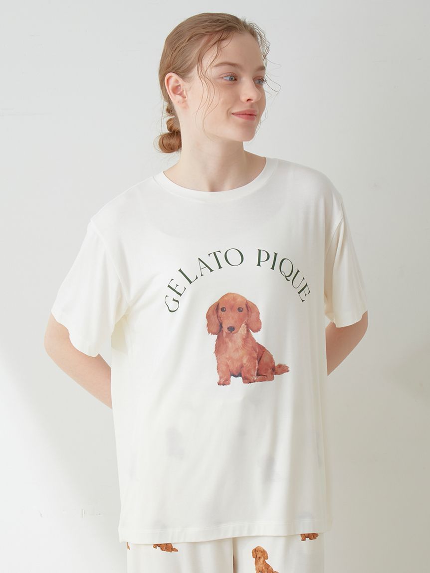 【ラッピング済み】DOG柄ワンポイントTシャツ＆ショートパンツSET | PWCT249043