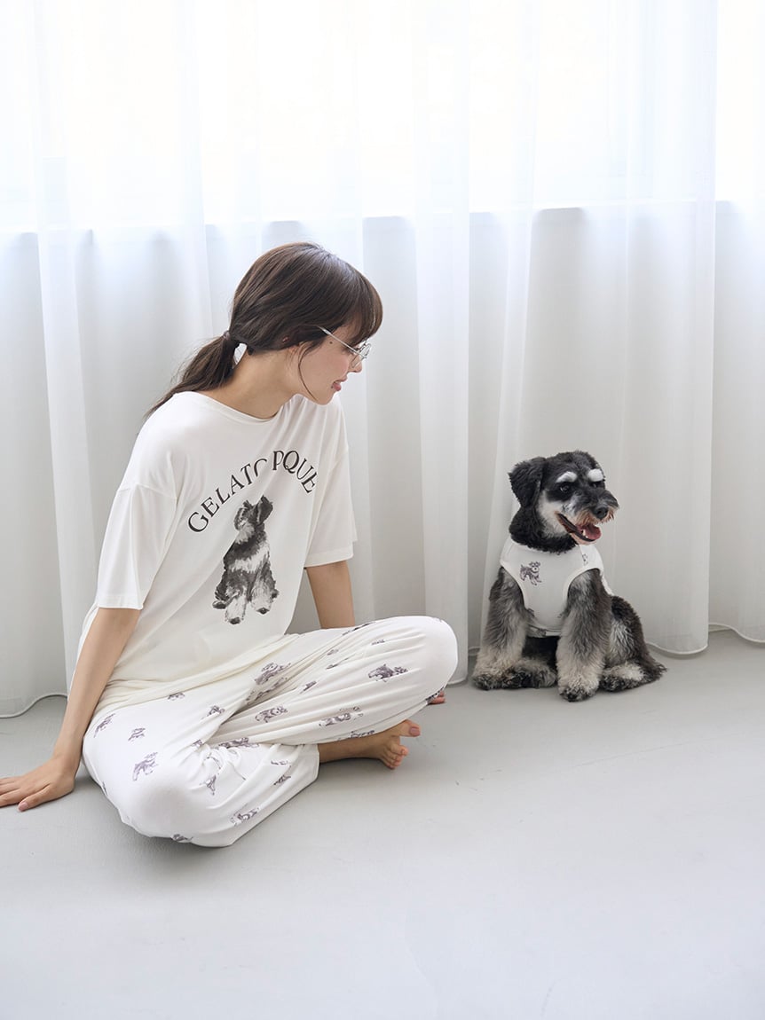 オフィシャルサイト・MASHSTORE・一部店舗限定】シュナウザー